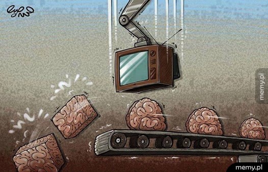   Telewizja