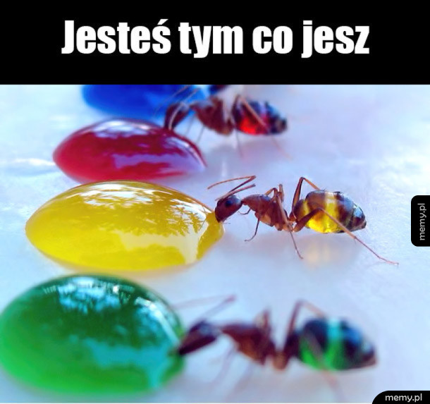 Jesteś tym