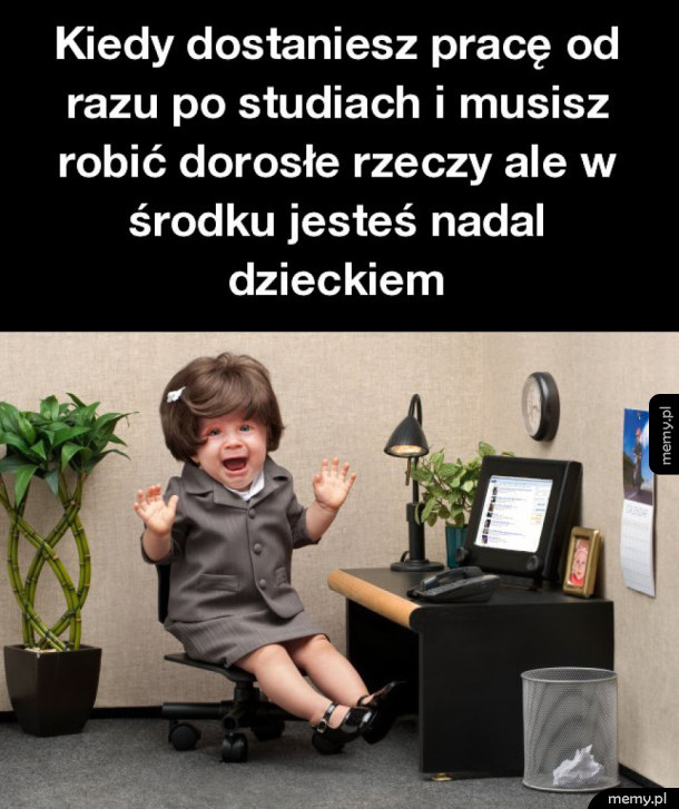 Kiedy dostaniesz pracę od razu po studiach