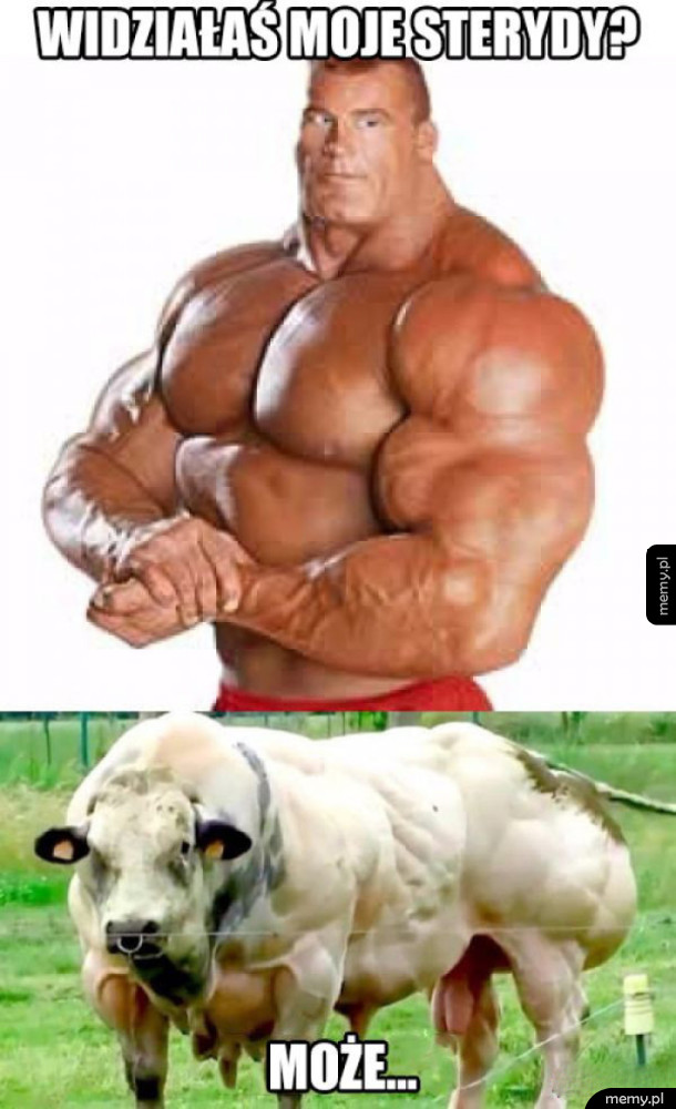 Może tak może nie
