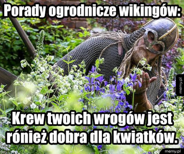 Sekrety wikingów