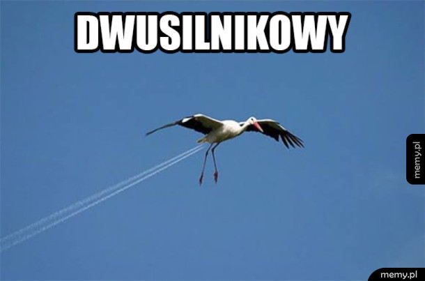 Dwusilnikowy Bocian