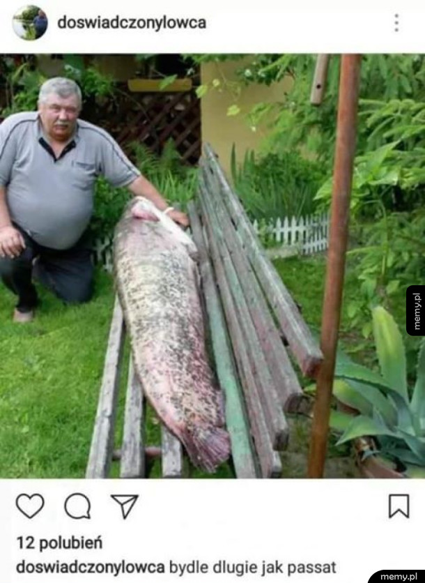 Doswiadczony lowca
