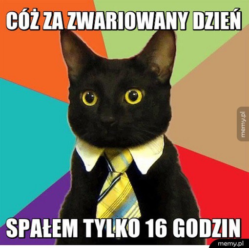 Zwariowany dzień