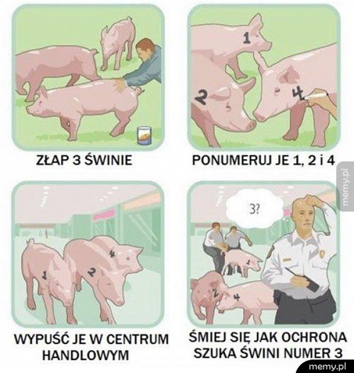 Plan doskonały