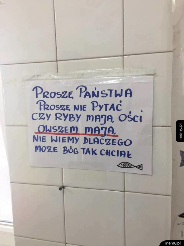 Tymczasem w rybnym