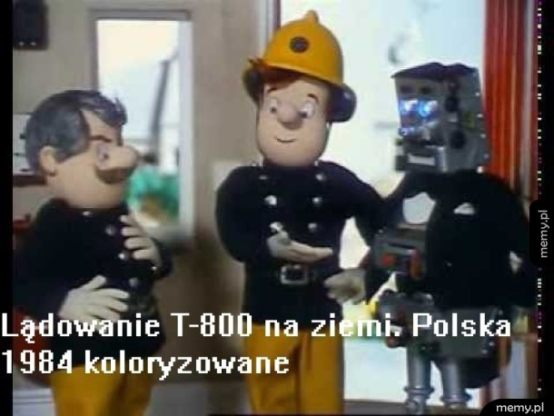 T-800