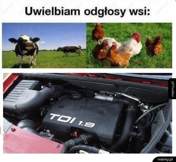 Odgłosy wsi