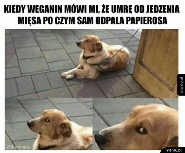 Hipokryzja