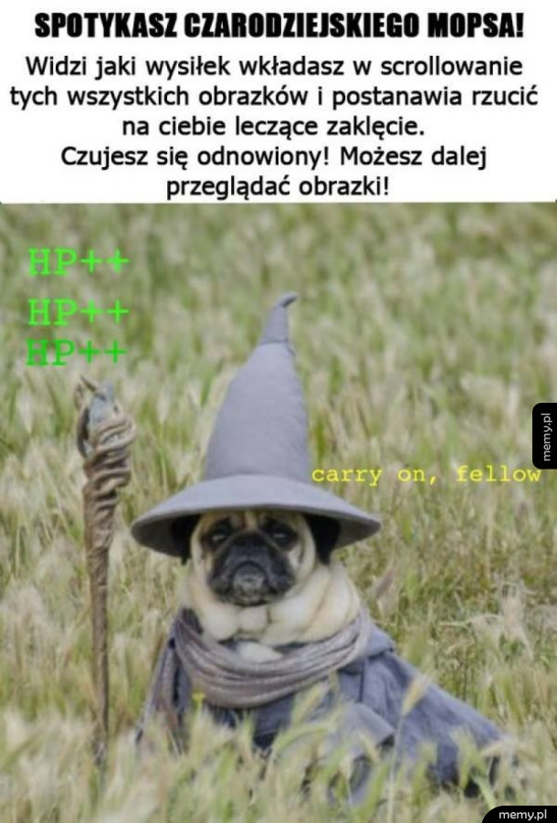 Czarodziejski mops