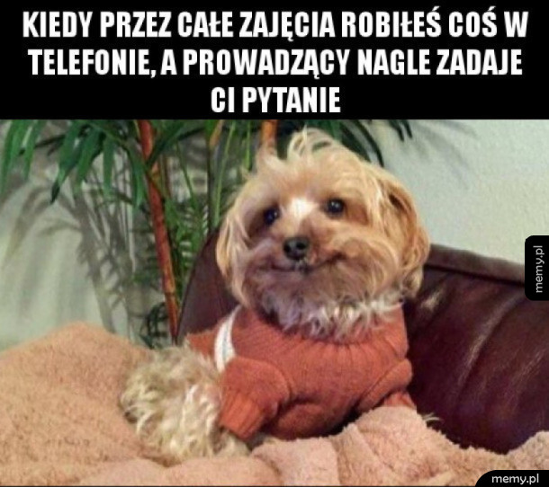 Na zajęciach