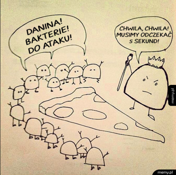 Zasada pięciu sekund