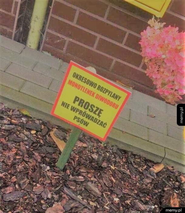 Regularnie rozpylana woda XD