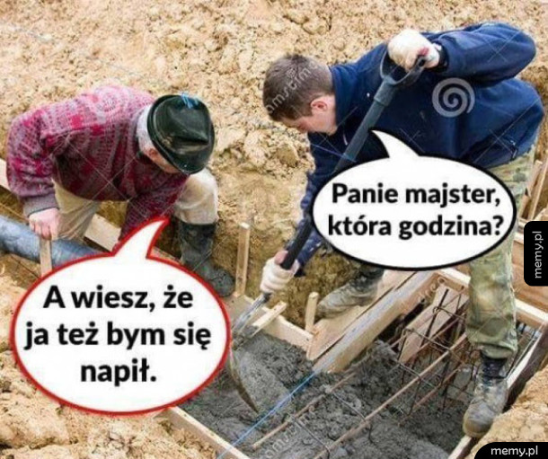 Majster