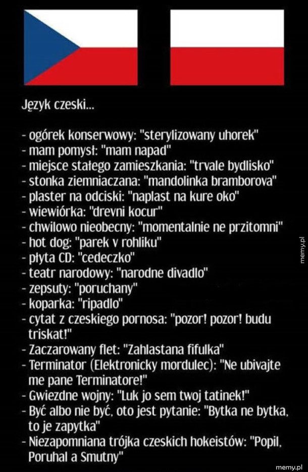 Jak tu nie lubić czeskiego