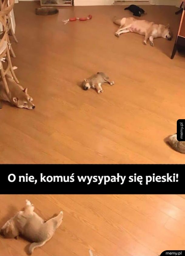 Trzeba pozbierać!