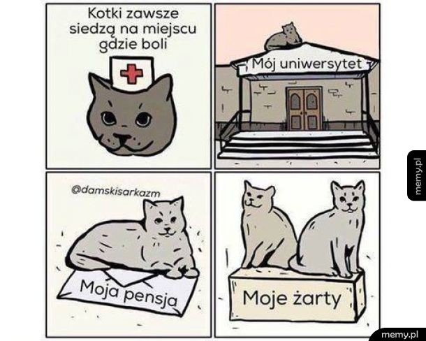 Dobre ziomki kotki