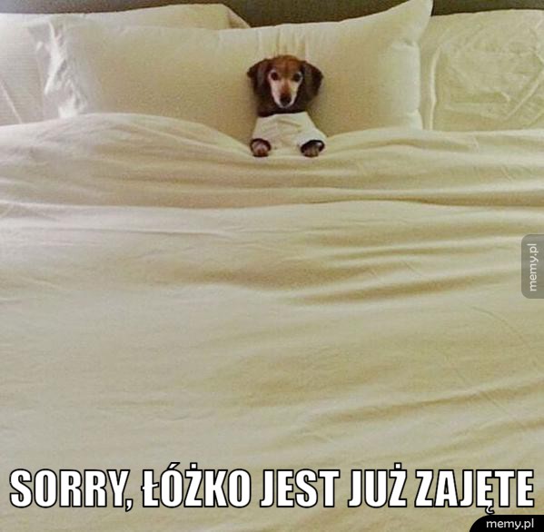  Sorry, łóżko jest już zajęte