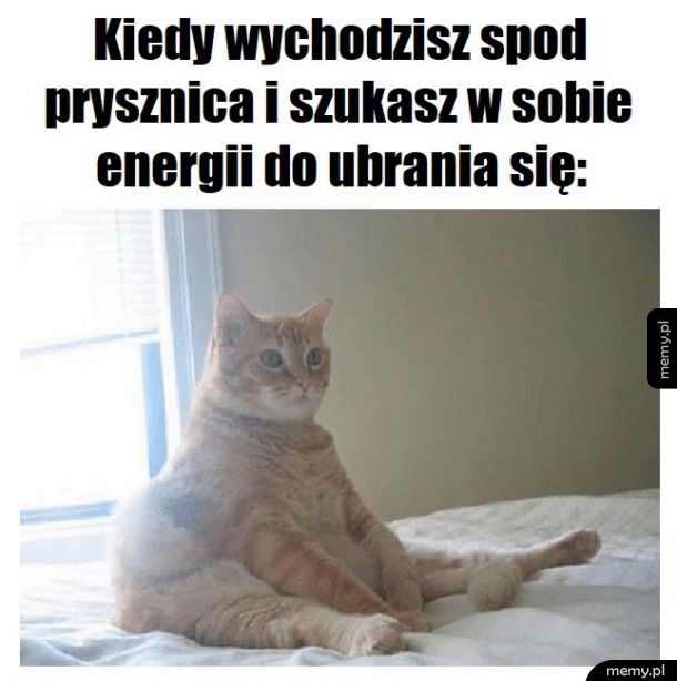 Zawsze rano
