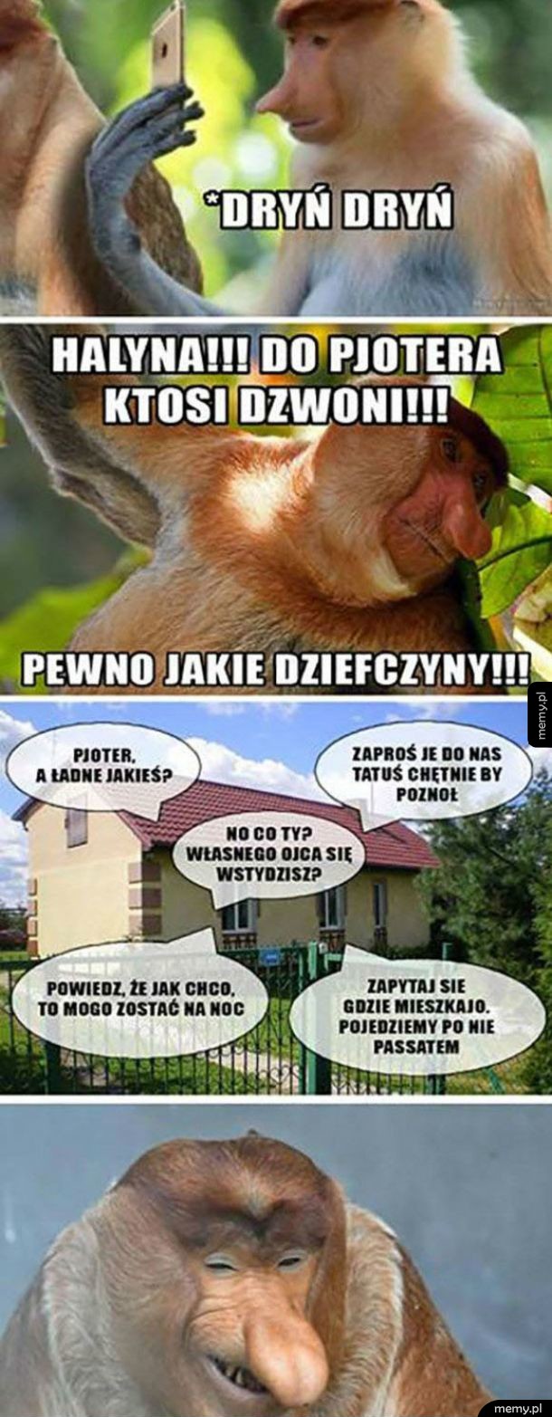 Kiedy do Pjotera dzwonią pannice...