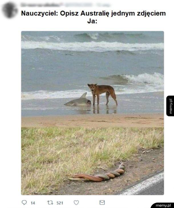 Typowa Australia