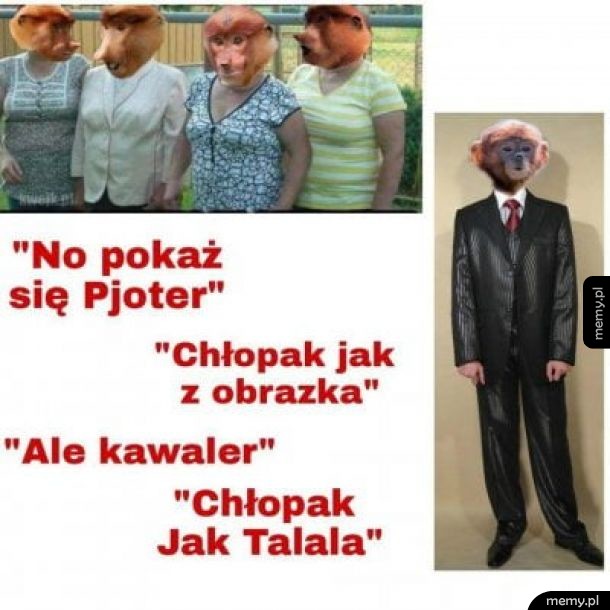 Jak tam na maturach?