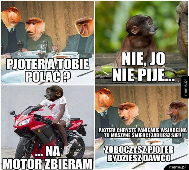 Pioter zbiera pieniądze