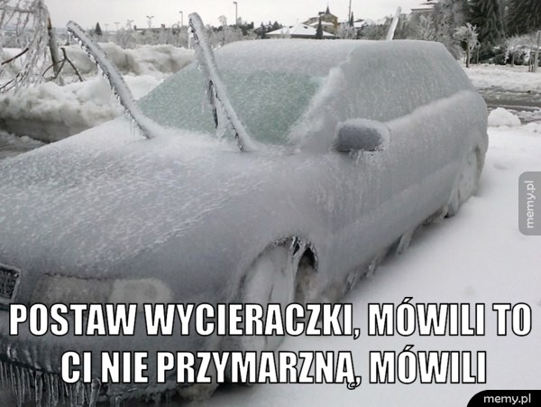 Zima