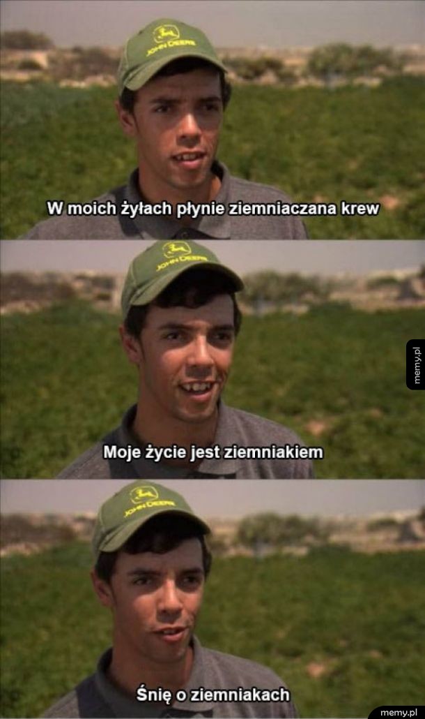 Ziemniaki
