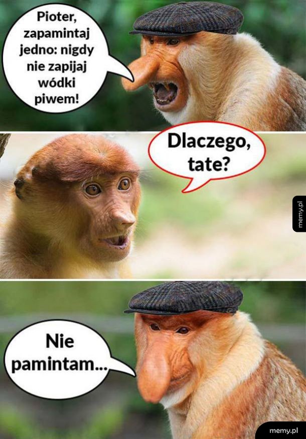 Dobra rada