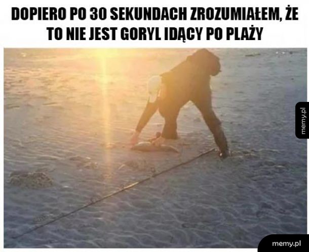 Na plaży