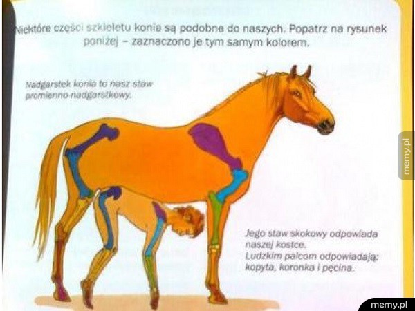 Nauka biologi...