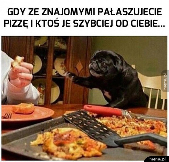 Nie tak szybko!