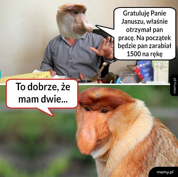 Zarobki Janusza