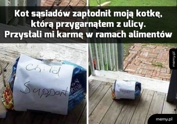 Alimenty