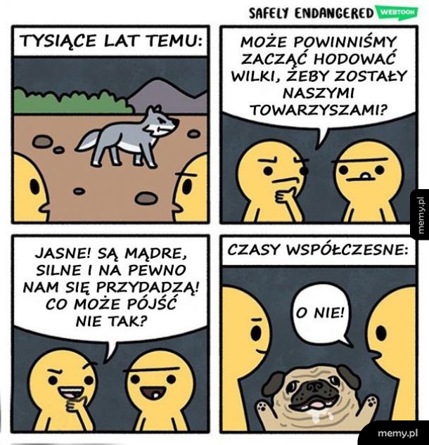 Historia piesków