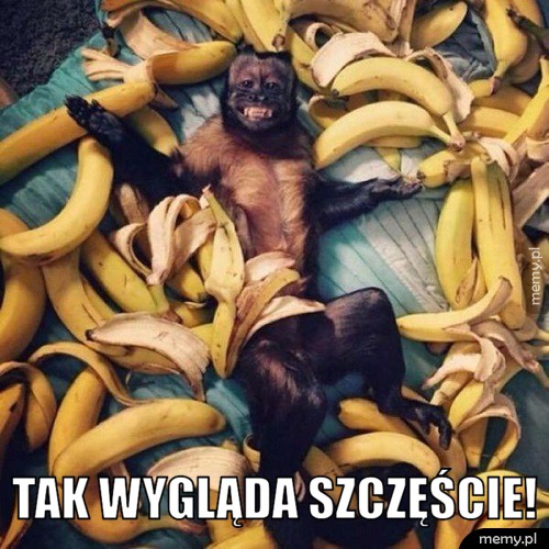 Szczęście