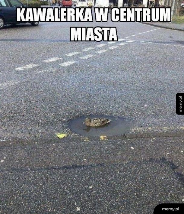 Życie w Polsce