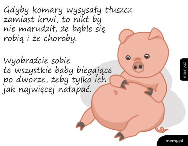 Dobre ziomki komary