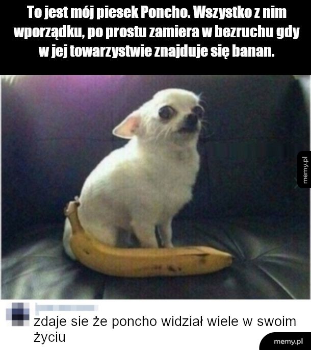 Psina ponczo