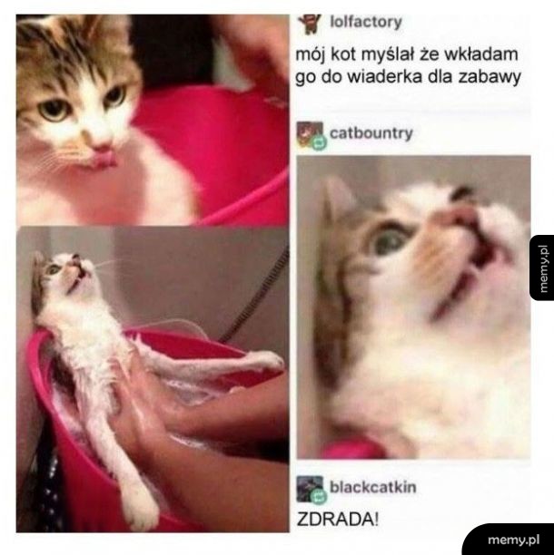 Zdrajca
