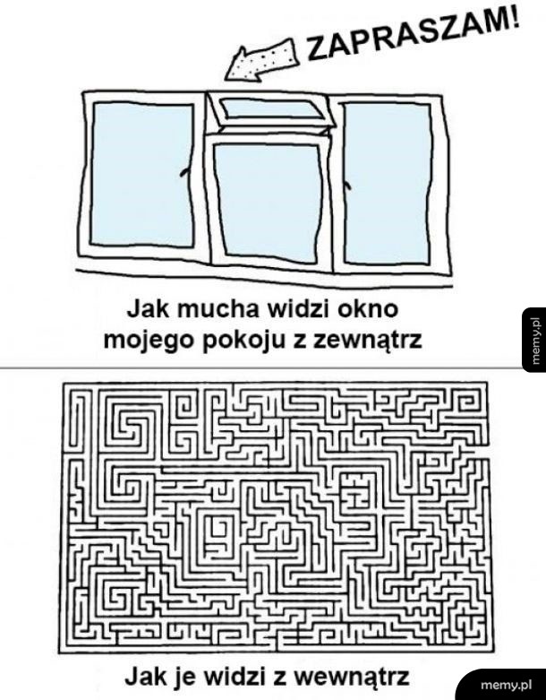 Punkt widzenia