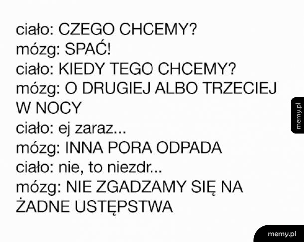Mój mózg