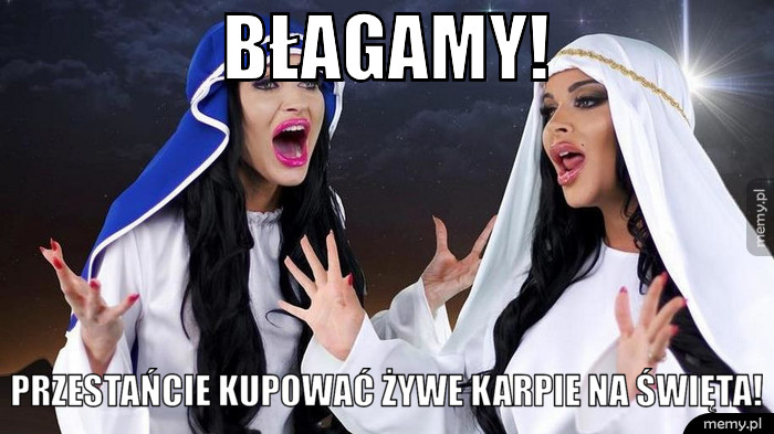 Błagamy! Przestańcie kupować żywe karpie na Święta!
