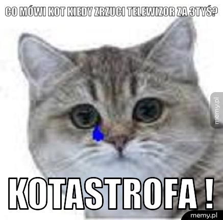 Co mówi kot kiedy zrzuci telewizor za 3tyś?   kotastrofa !