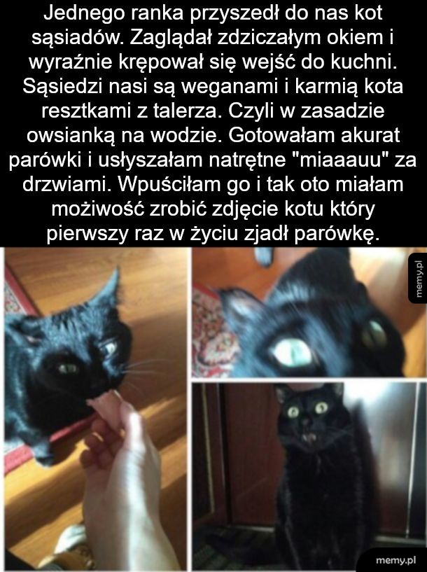 Nareszcie mięso, zabijać takich ludzi