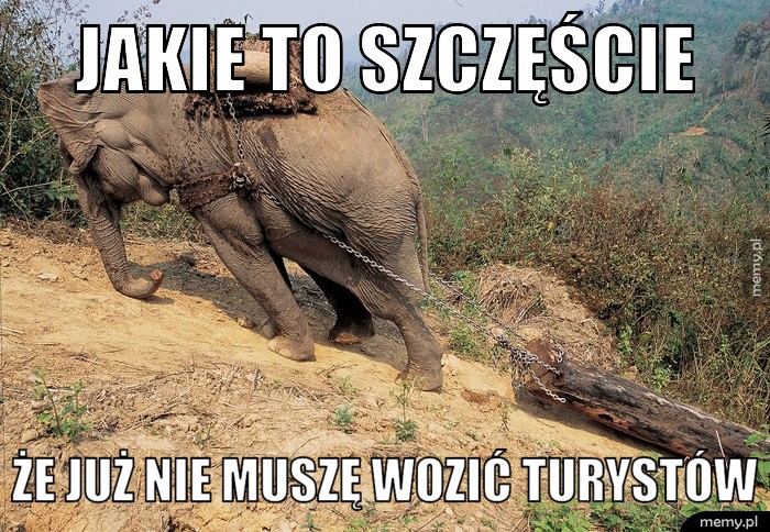 Jakie to szczęście że już nie muszę wozić turystów