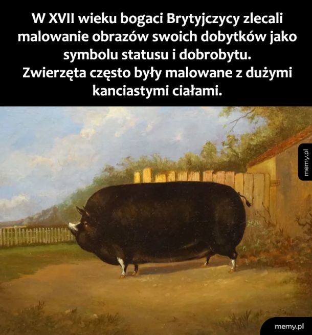 Wspaniały obraz