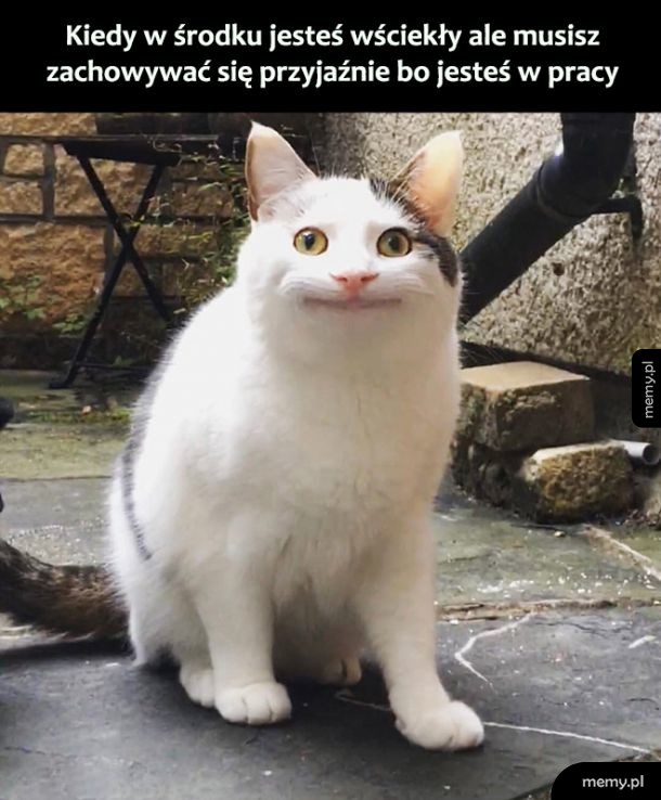Opanuj się