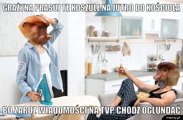 Grażyna prasuj te koszule na jutro do kościoła bo zaroz wiadomości na tvp, chodź oglundać
